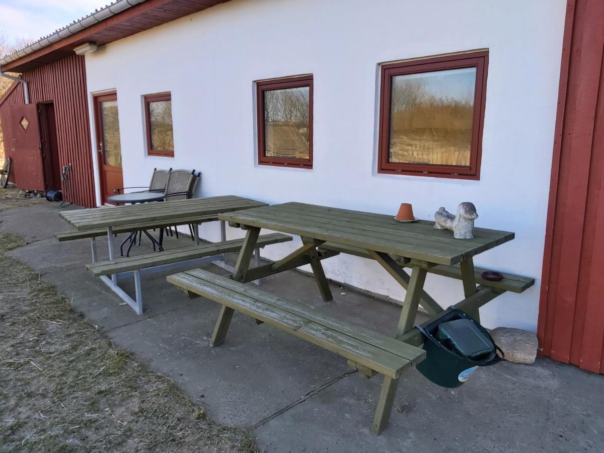 Klitgaarden Apart otel Hjørring Dış mekan fotoğraf